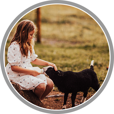 HranjenjeZivaliJC Kurovt