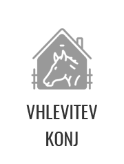 VhlevitevKonj2