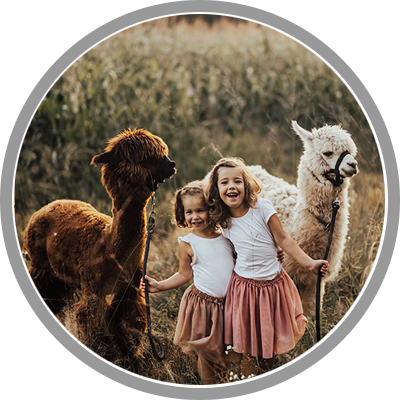 SprehodZAlpakamiInHranjenjeZivali Paket